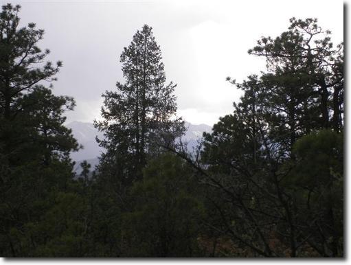 Where Eagles Soar and Dreams are Made! - Rancho Escondido Lot 13C Unit 3 (12902 Spanish Peaks Trail, Weston)